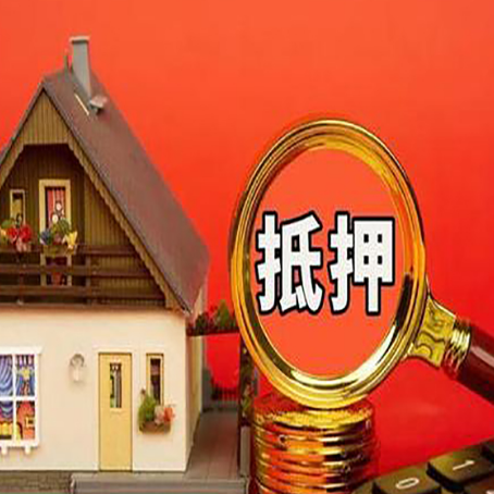 佛罗镇贷款买房后可以提前还部分本金吗?